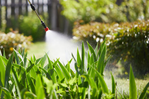 24/7 Emergency Mosquito Control experts in Morgantown, KY