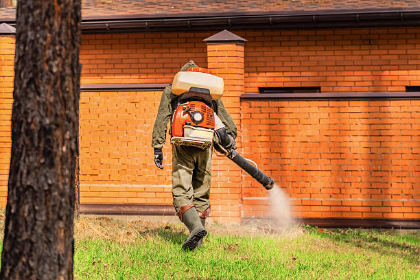 Top rated local Mosquito Control specialists in Morgantown, KY
